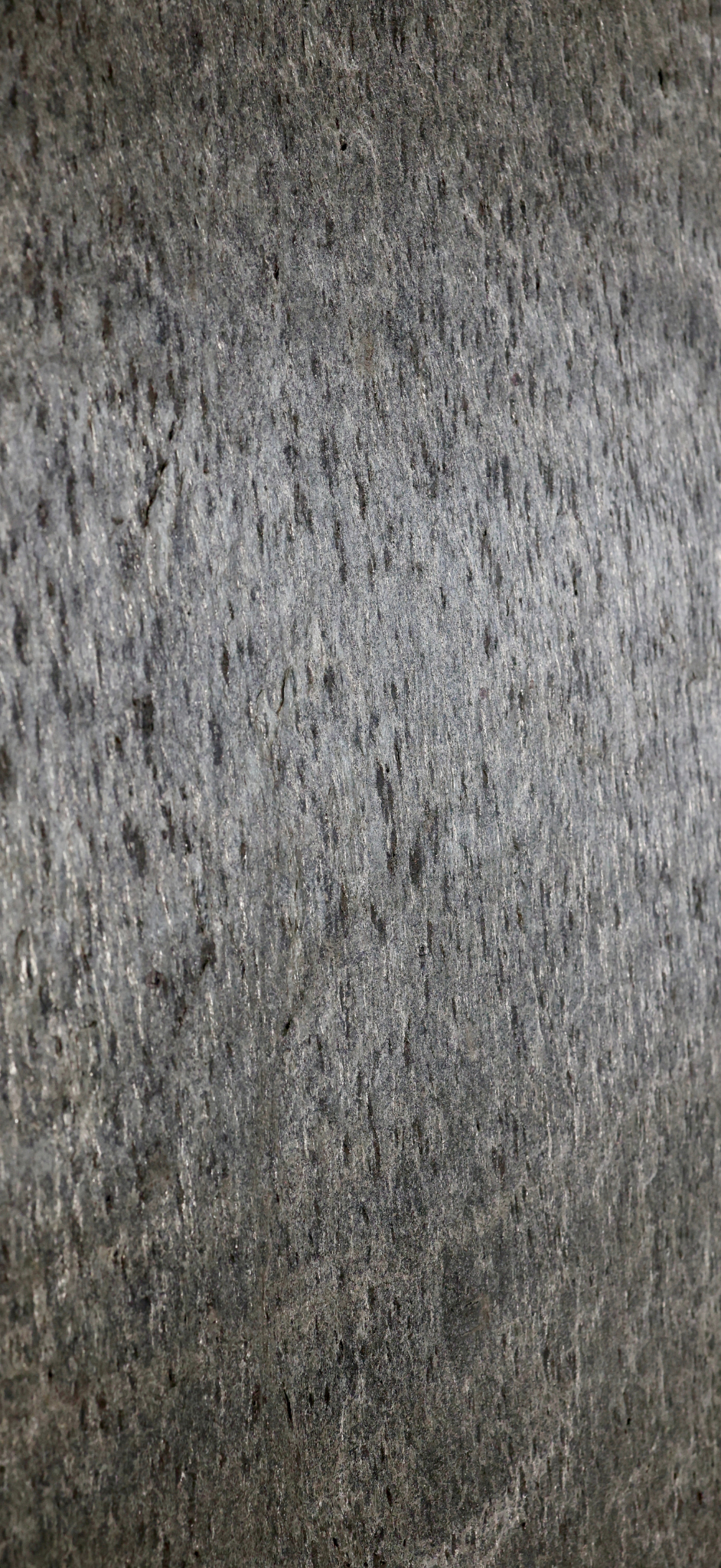 Fabric-Backed