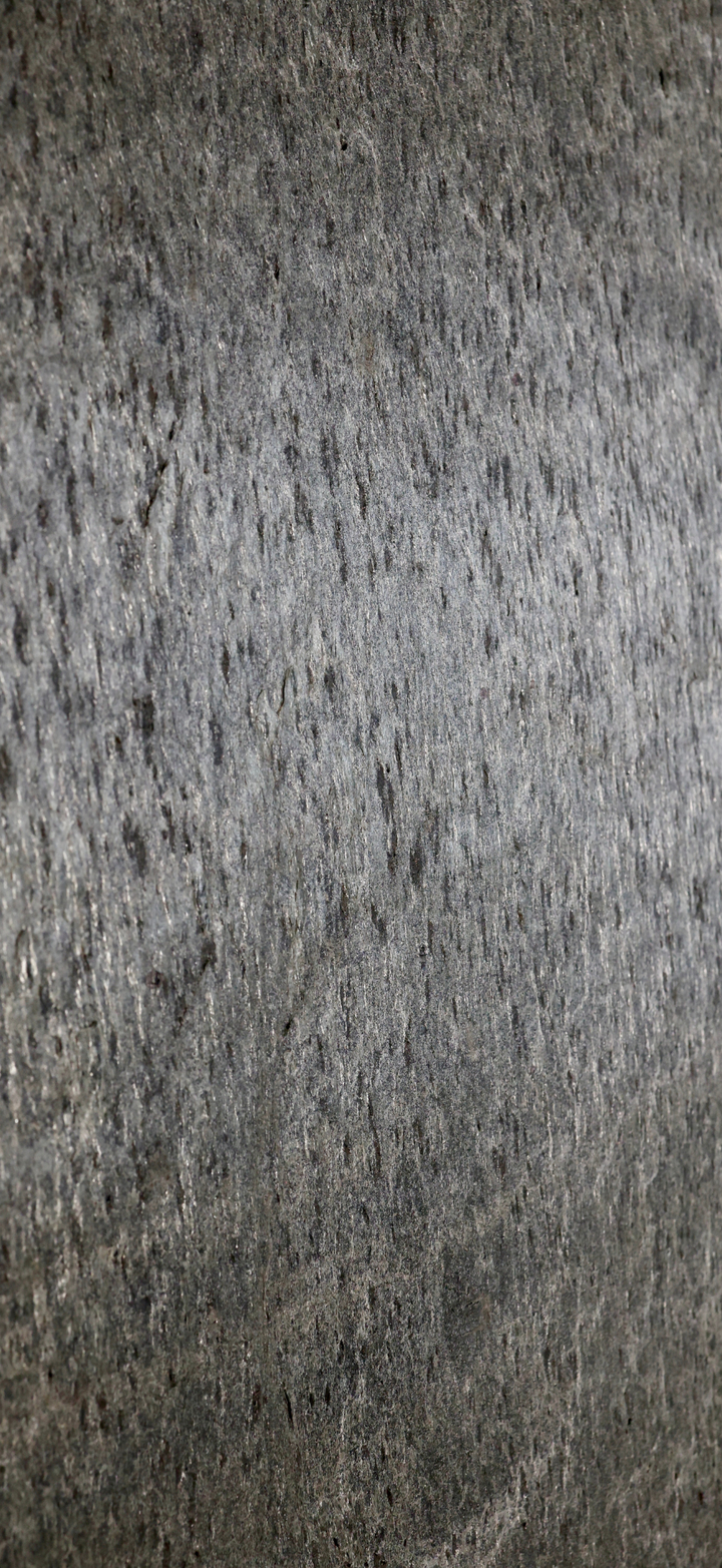 Stone Birch Panel