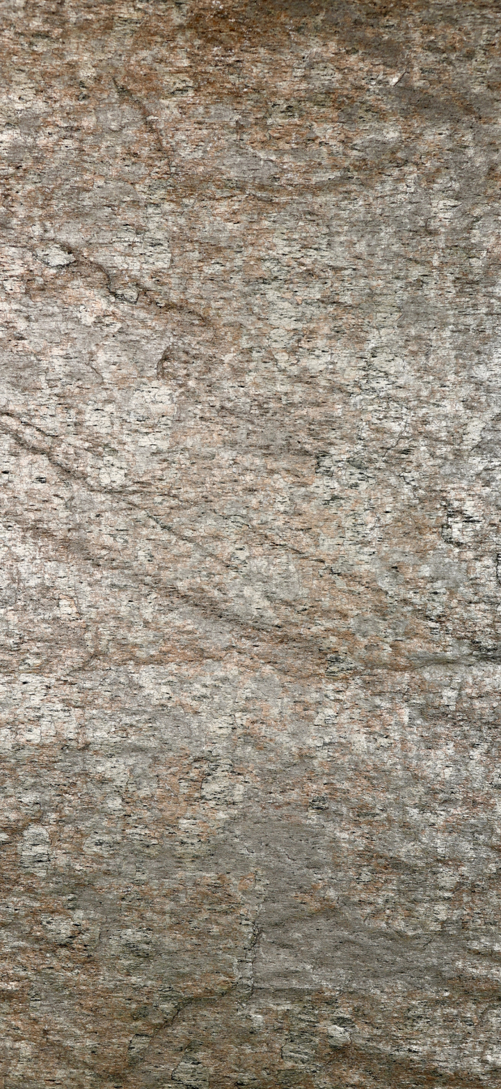 Stone Birch Panel