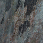 AUTUMN (Hard-Backed) 2